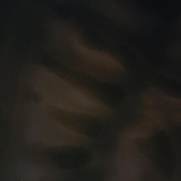 WESC Wild & Free Tee 90s Grunge Vintage Rock & Grunge Aesthetic - Picture 4 of 10